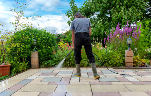 Best Animal Enclosure Cleaning  in Lockney, TX