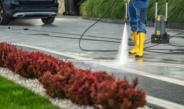 Best Driveway Pressure Washing  in Lockney, TX